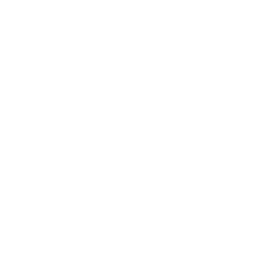 Orbit layer 4